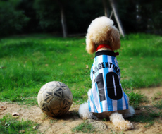 诚信致远，践行责任，易拓照明传递品牌温度与担当